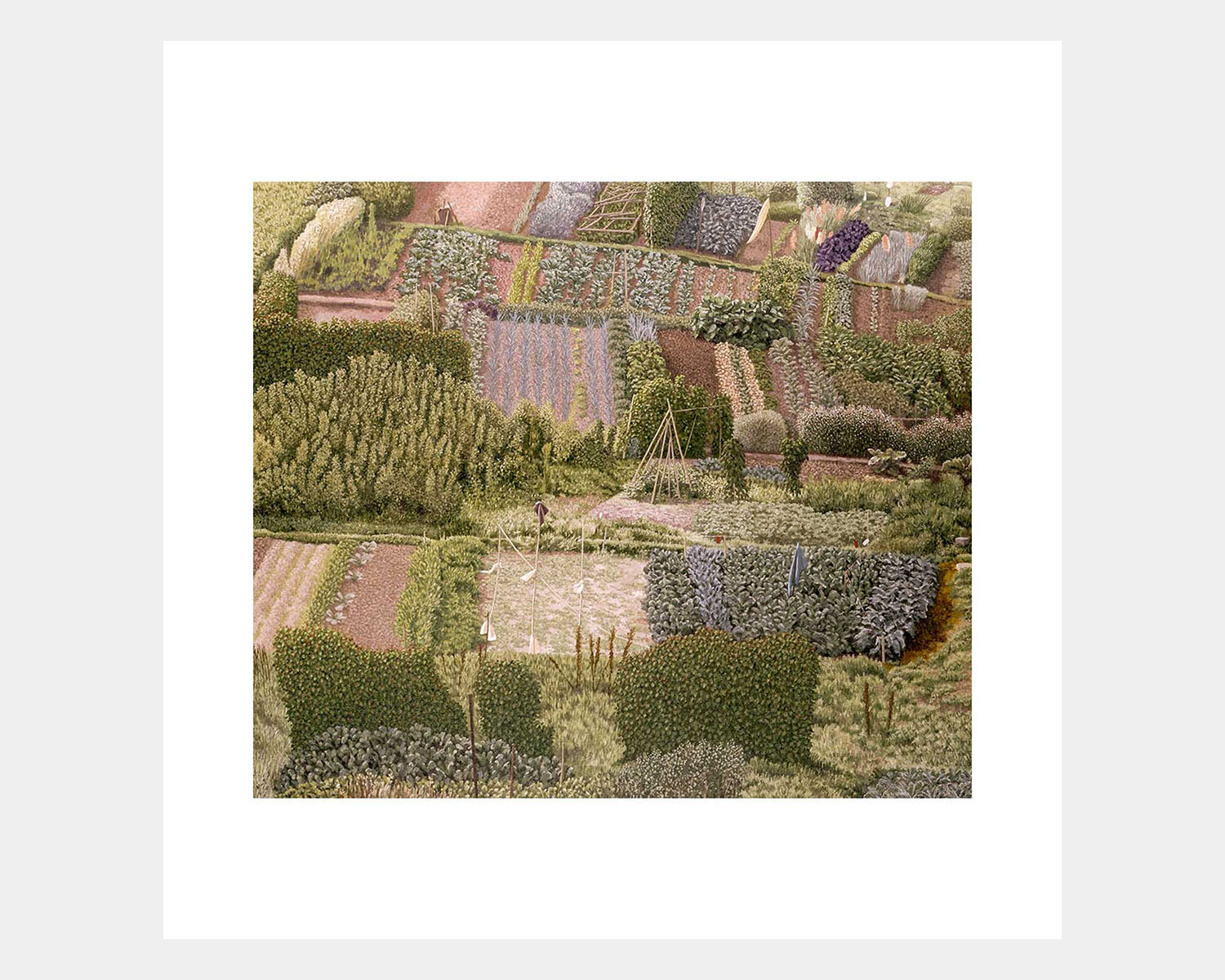 Allotments - Image 1