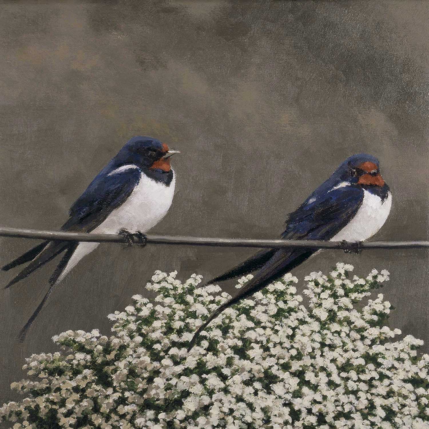Swallows In May - Image 2