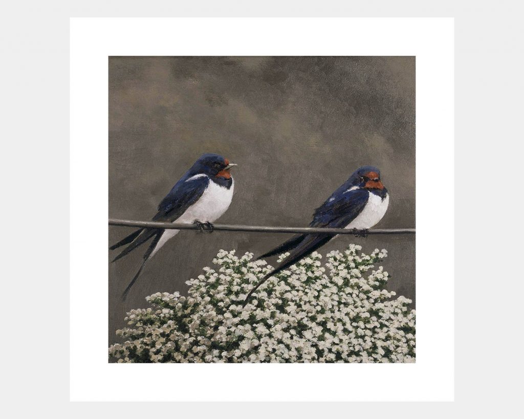 Swallows In May