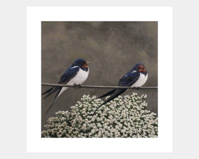 Swallows In May