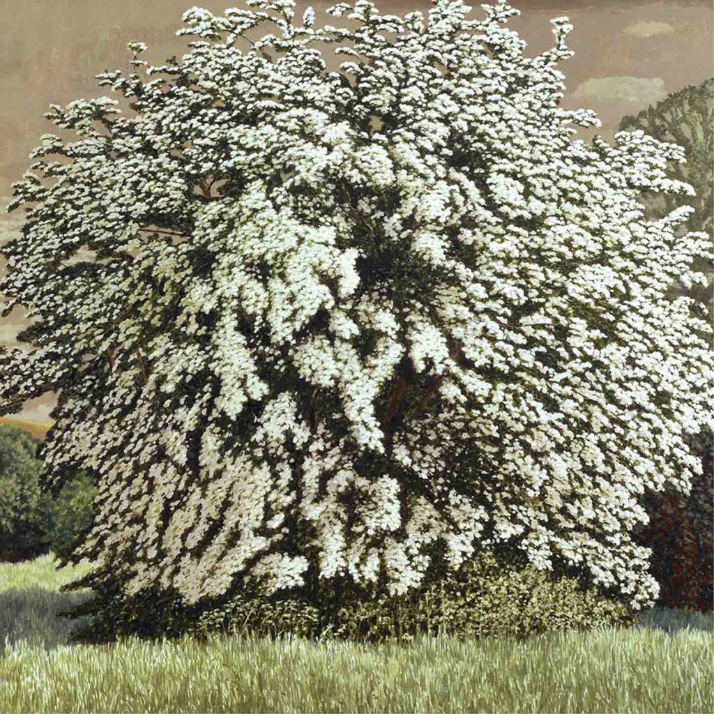 May Tree II