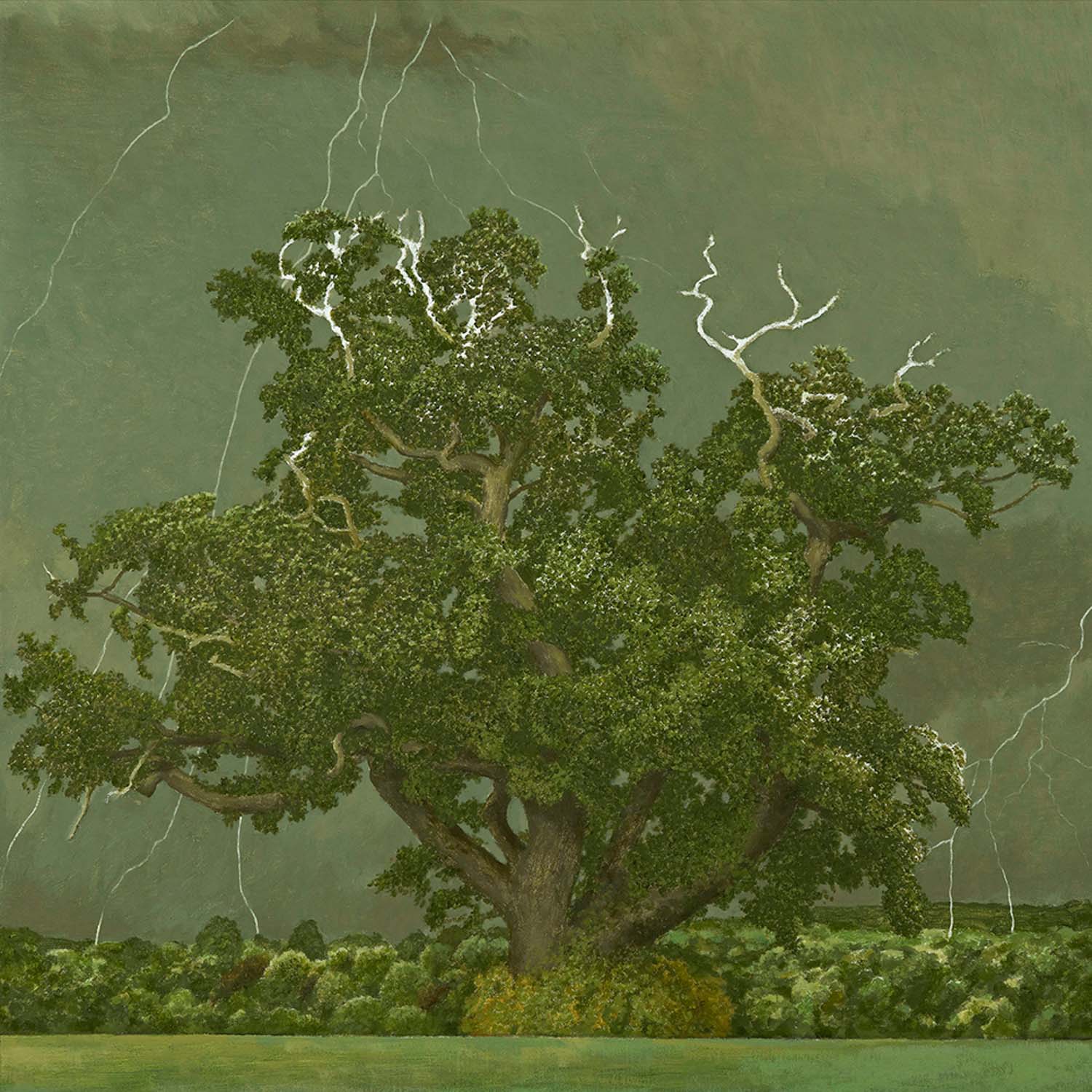 Oak Tree and Lightening - Image 2