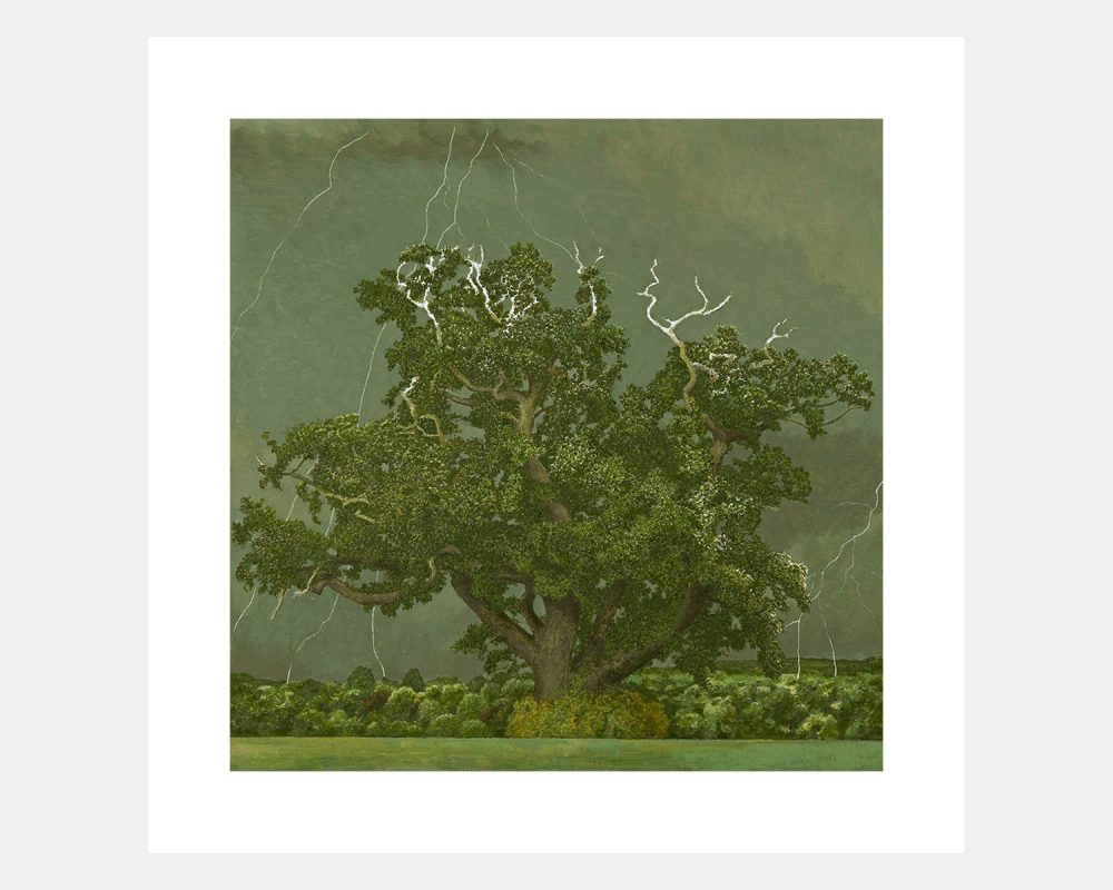 Oak Tree and Lightening