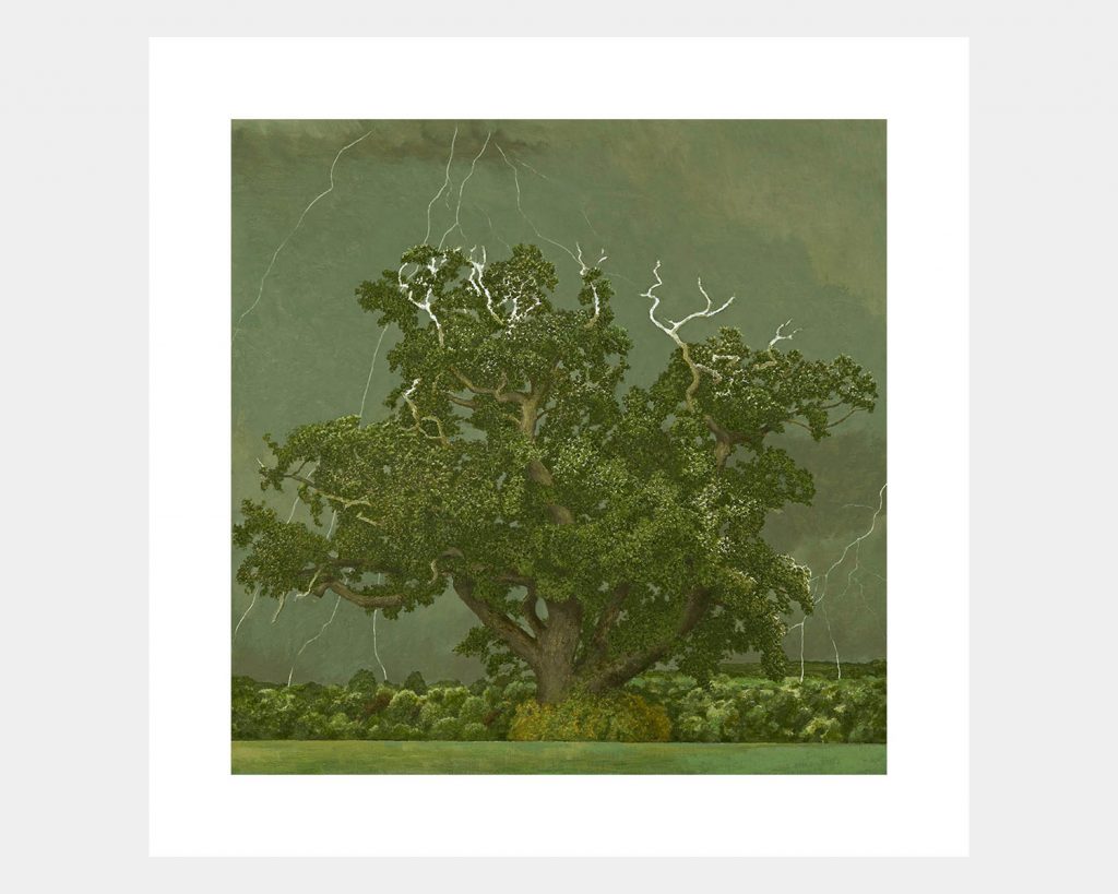 Oak Tree and Lightening
