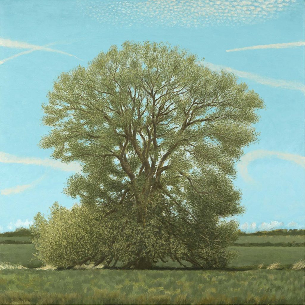 Willow Tree