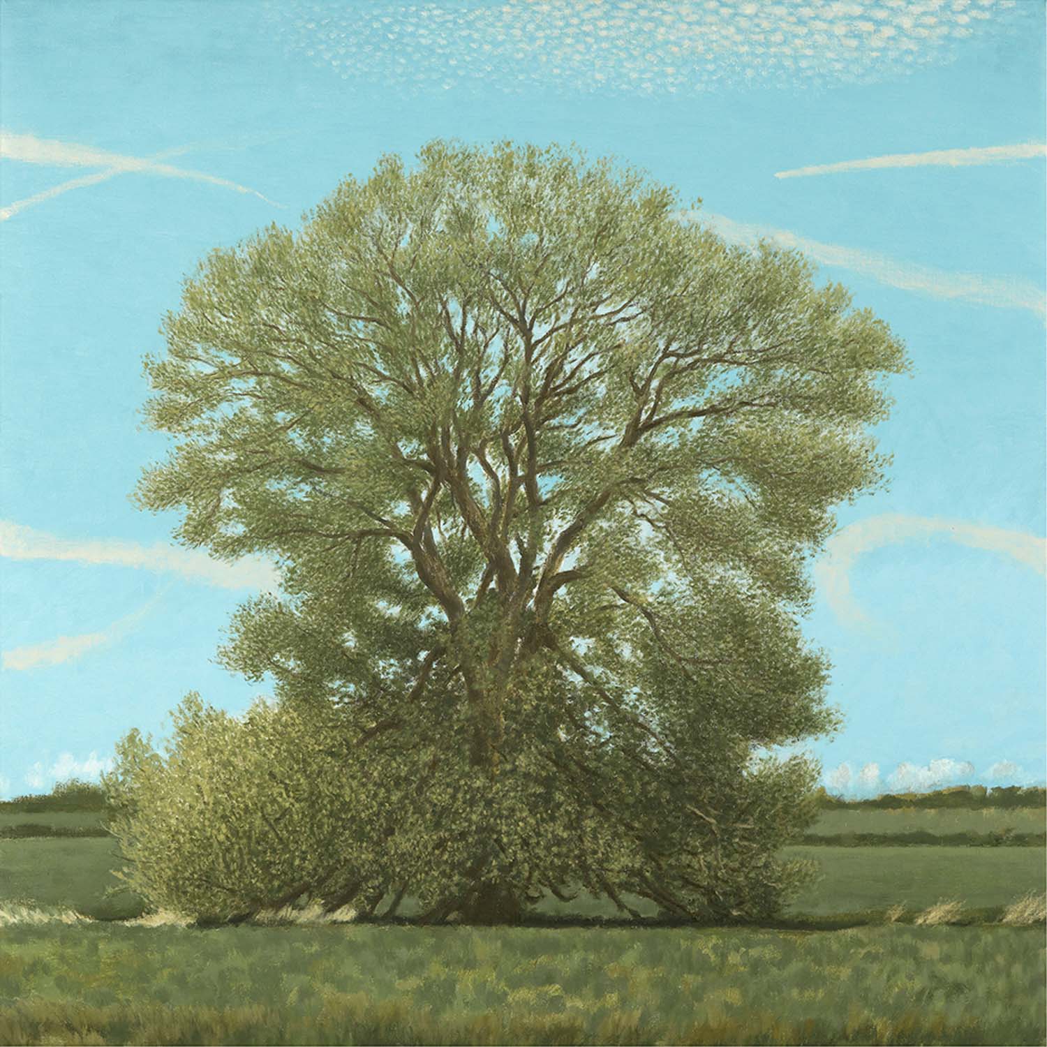 Willow Tree - Image 2