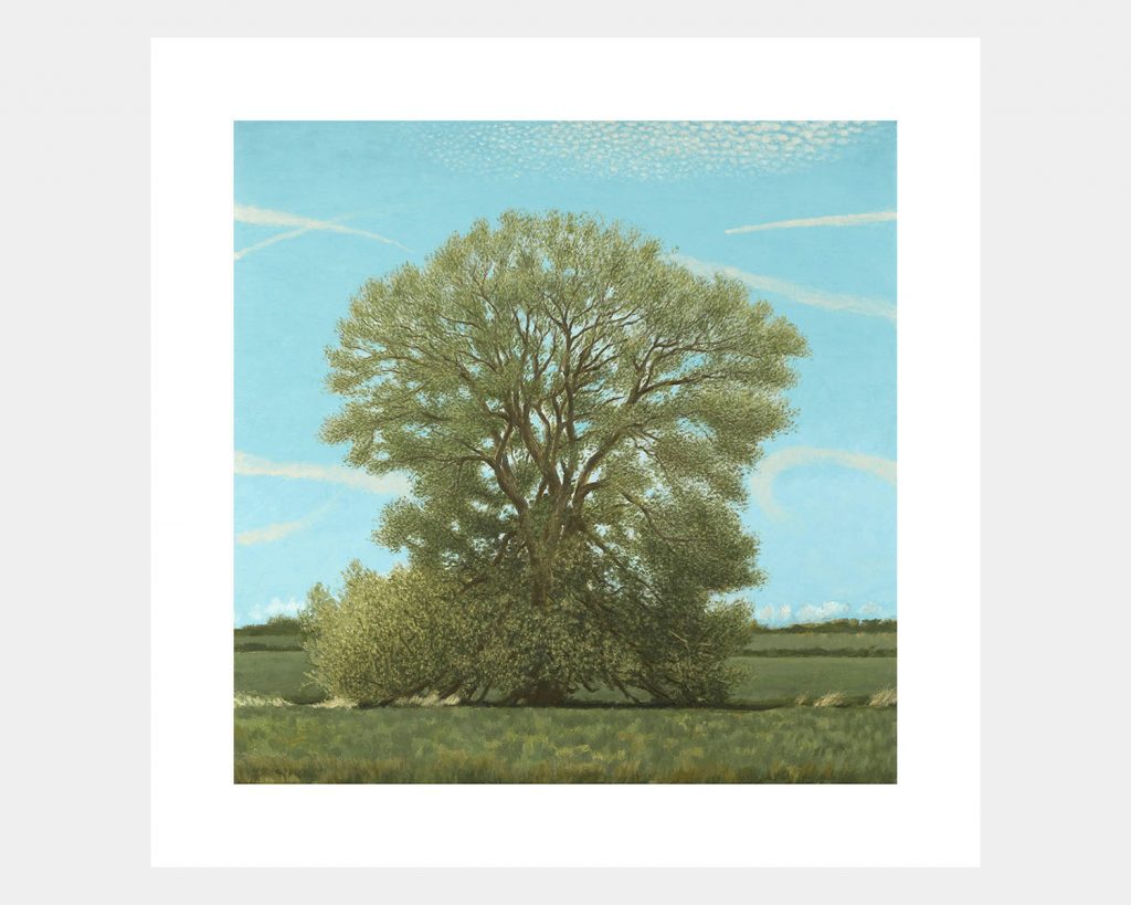 Willow Tree