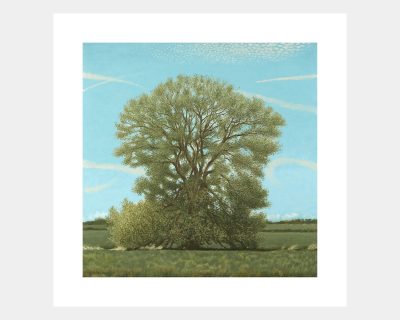 Willow Tree
