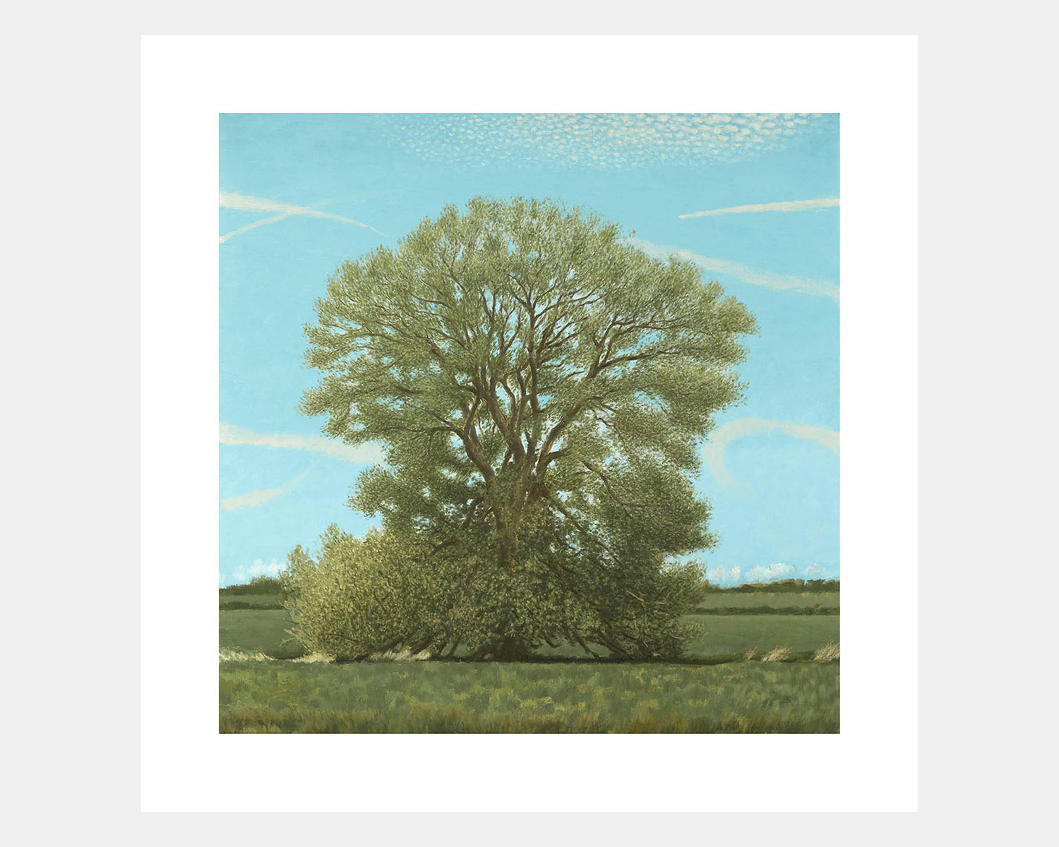 Willow Tree - Image 1