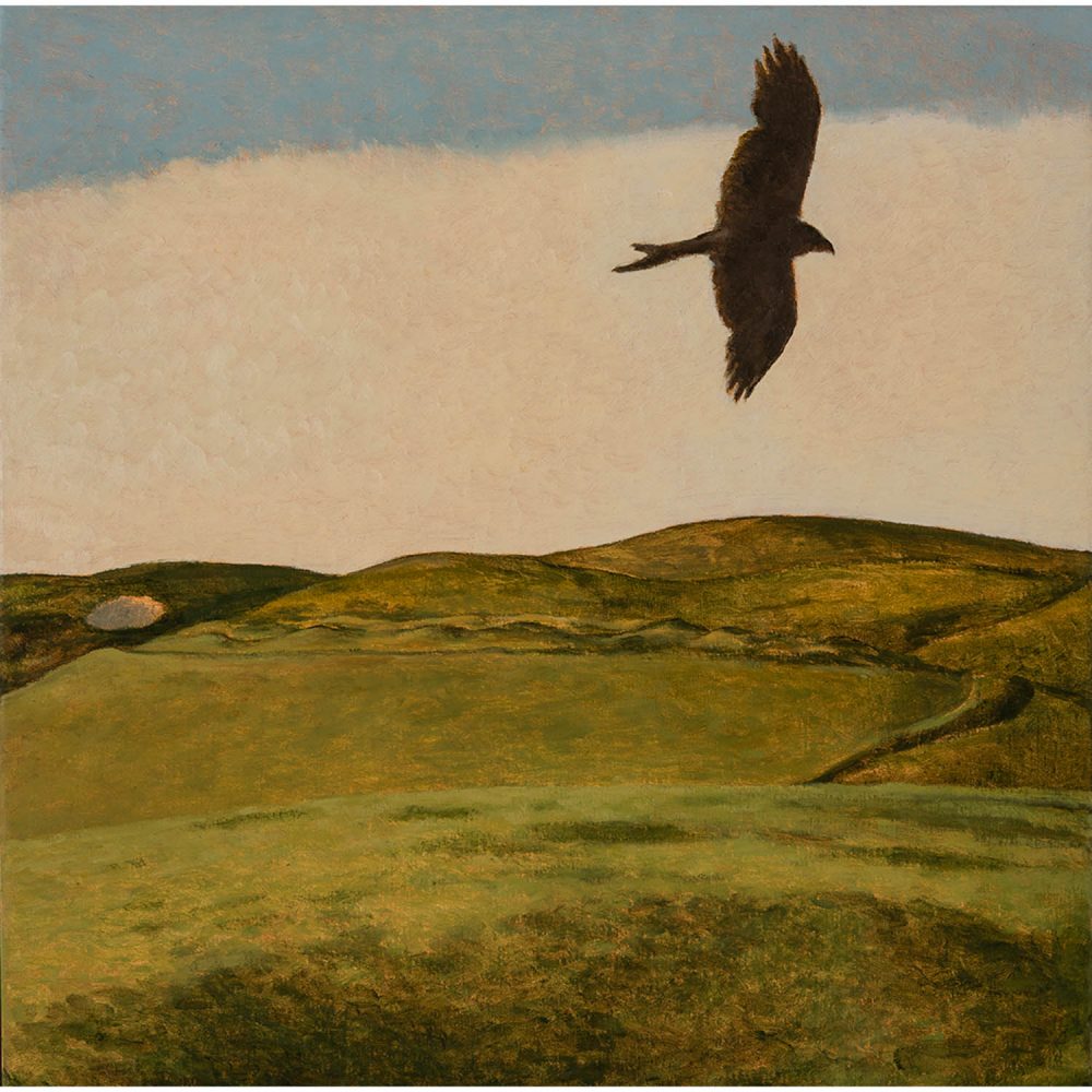 Marlborough Downs and Kestrel