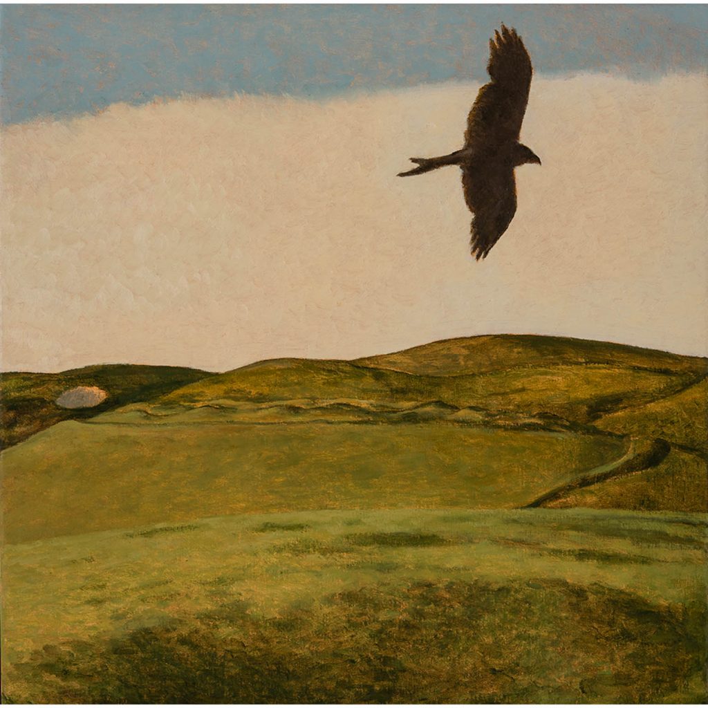 Marlborough Downs and Kestrel