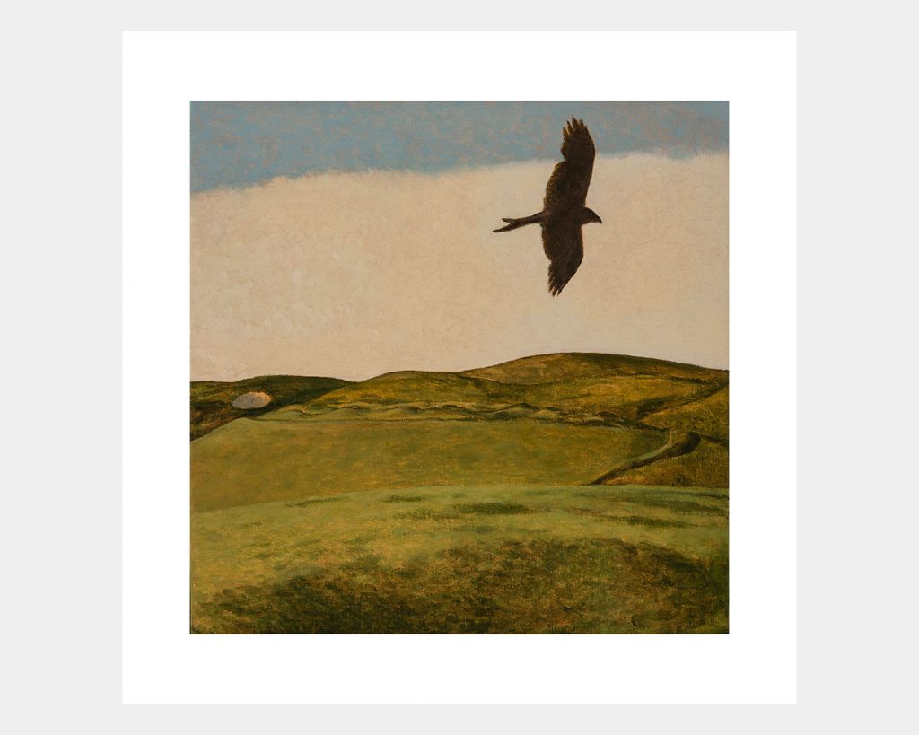 Marlborough Downs and Kestrel