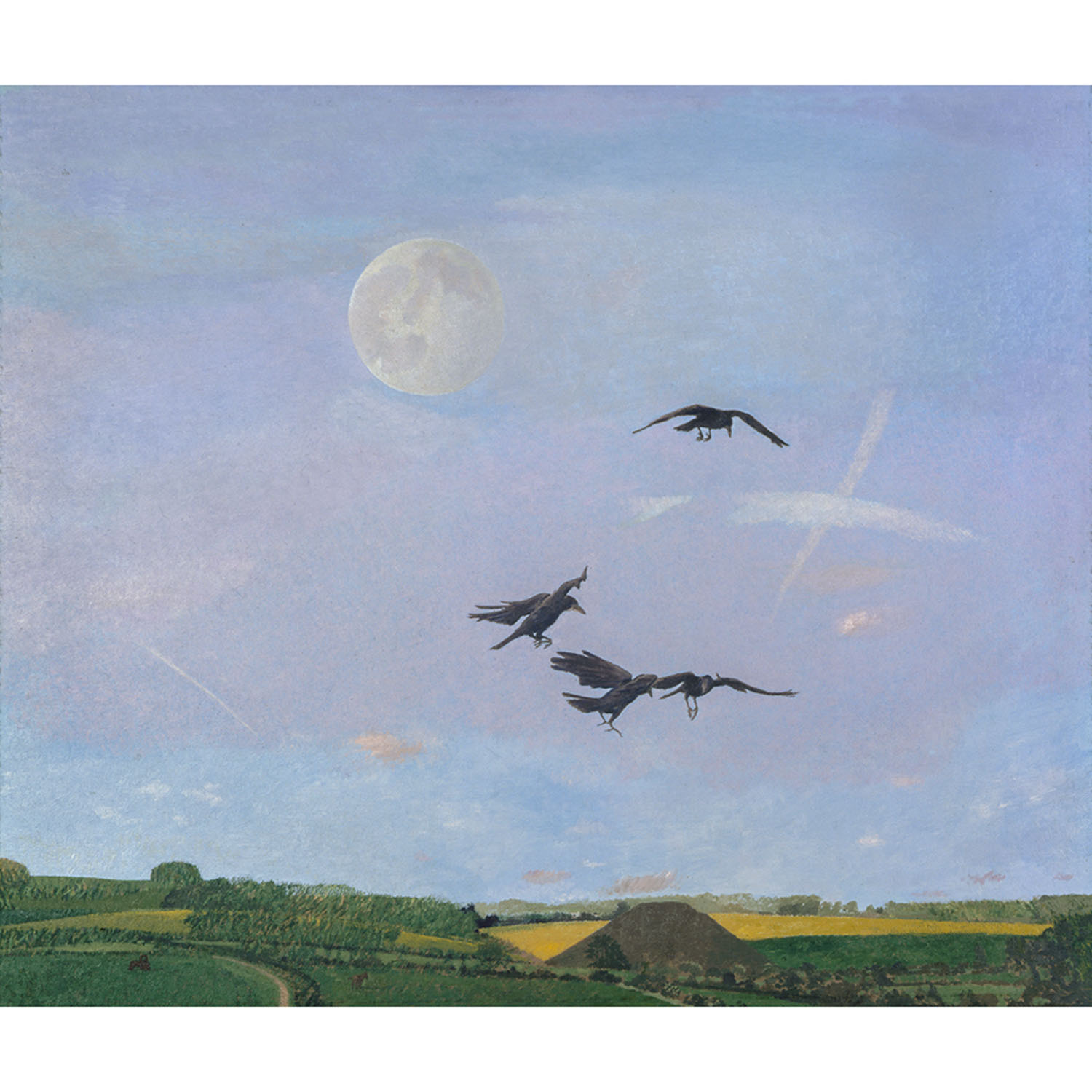 Wiltshire Landscape - Image 2