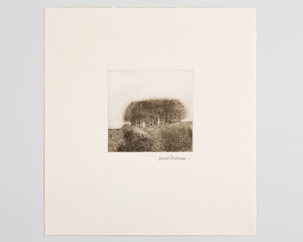 View/Clump - Image 1