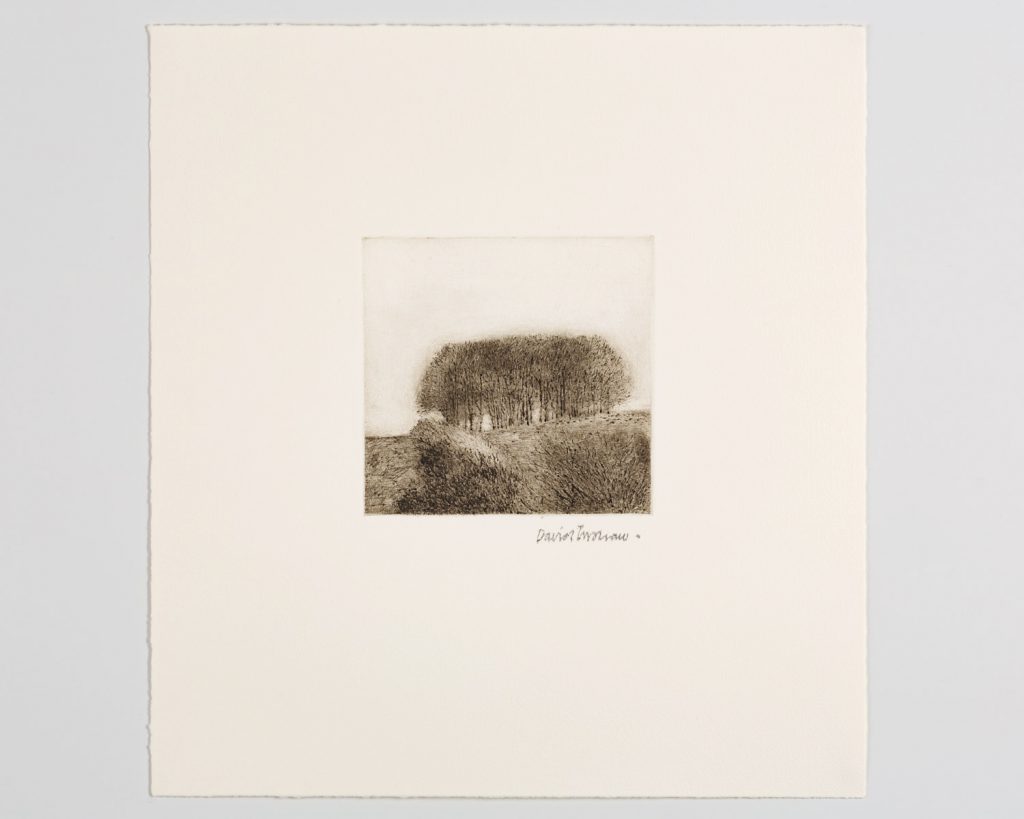View/Clump