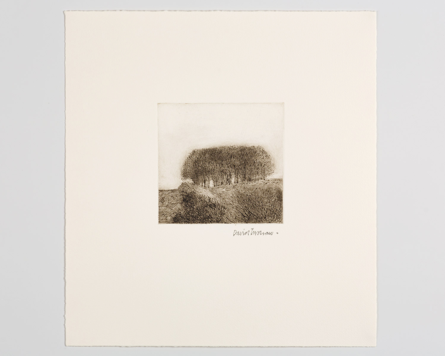 View/Clump - Image 1