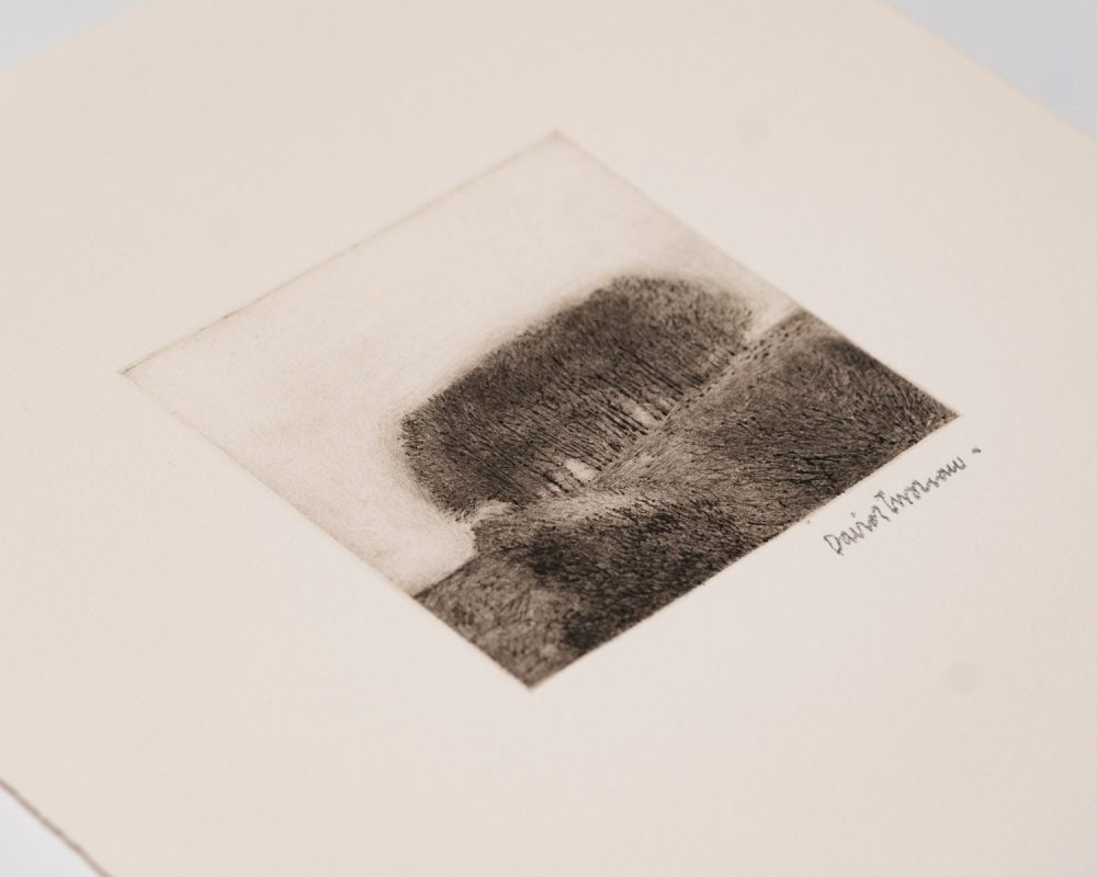 View/Clump - Image 3
