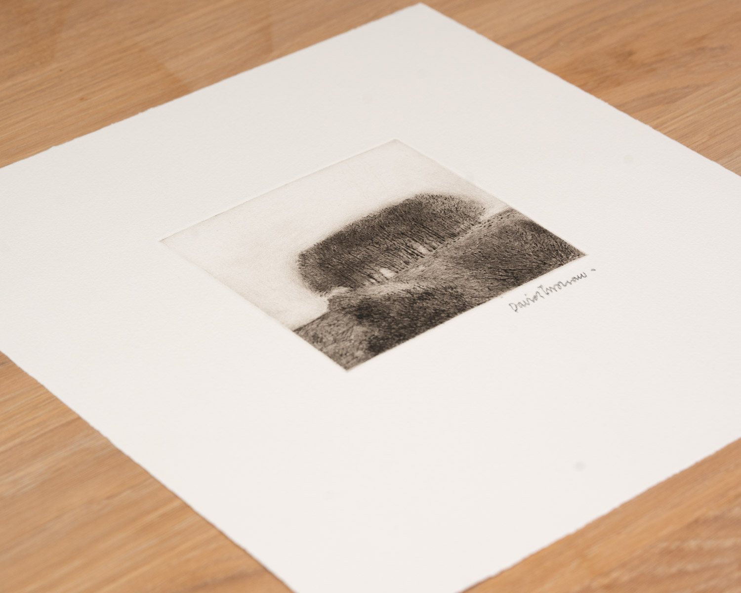 View/Clump - Image 4