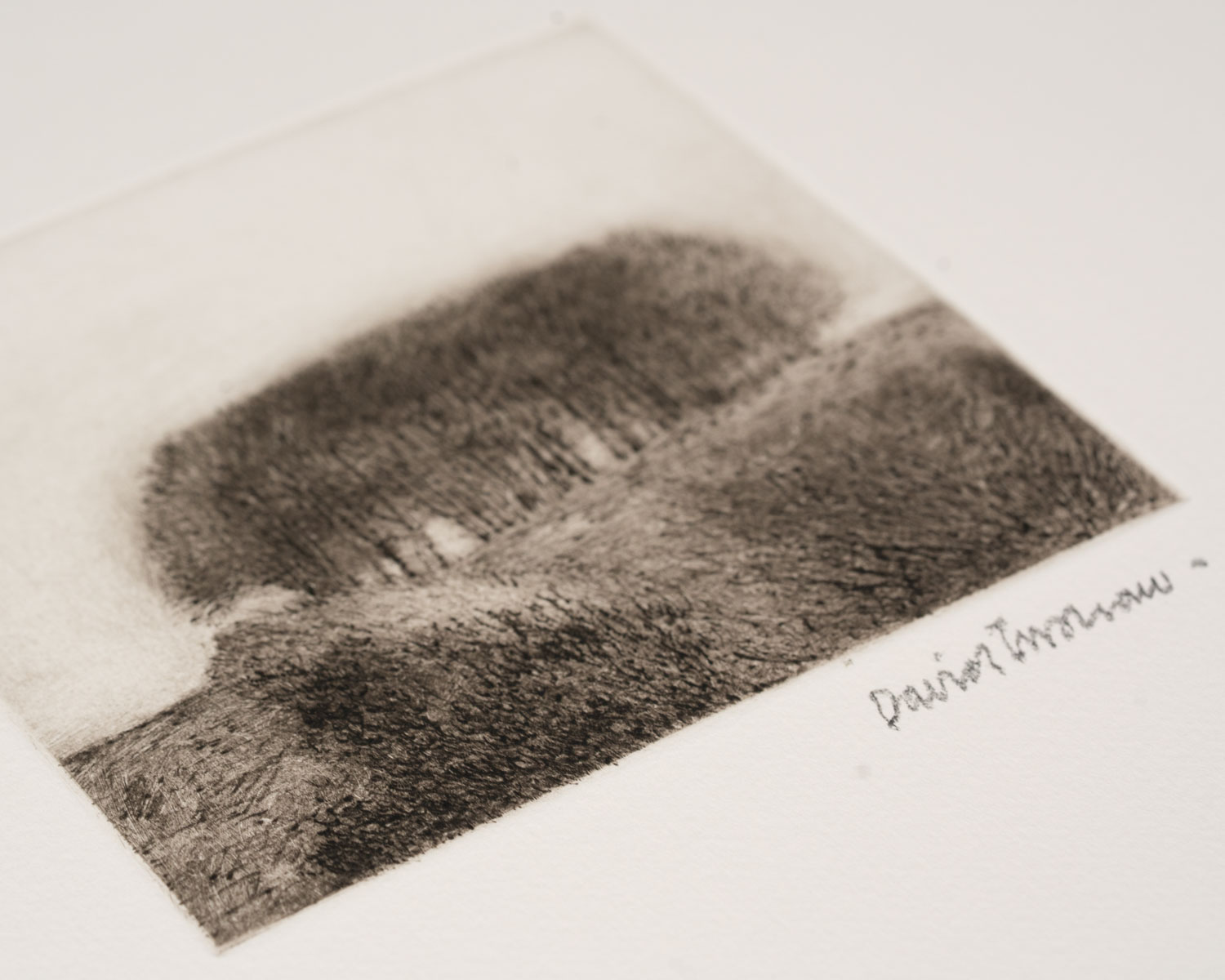 View/Clump - Image 5