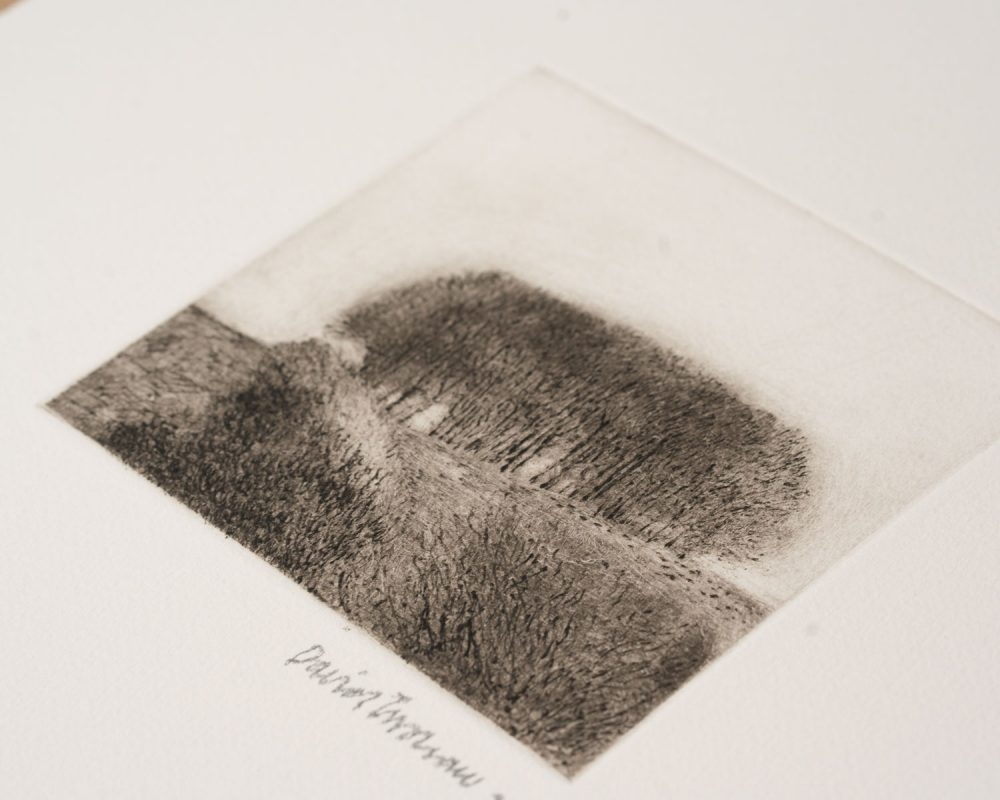 View/Clump - Image 2