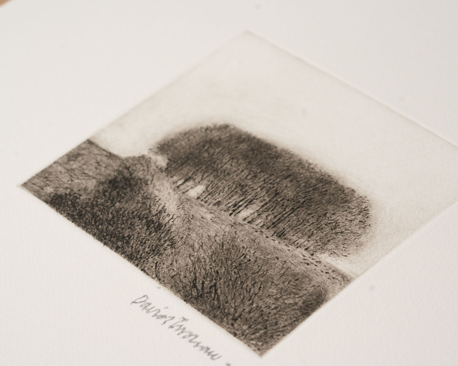 View/Clump - Image 2