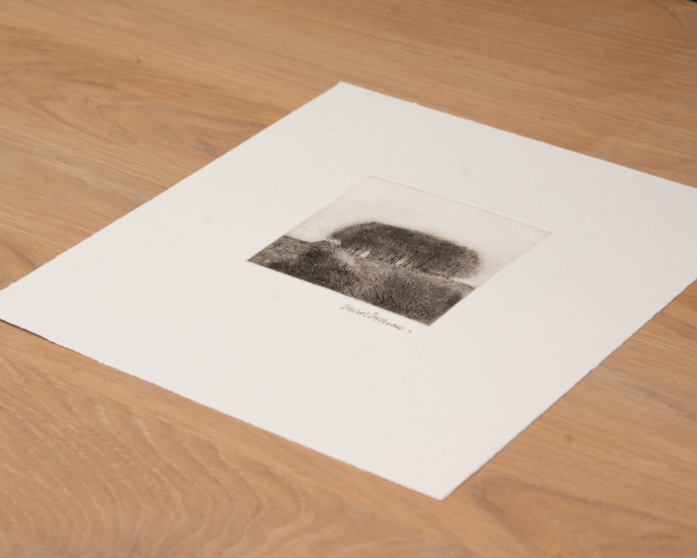 View/Clump - Image 6