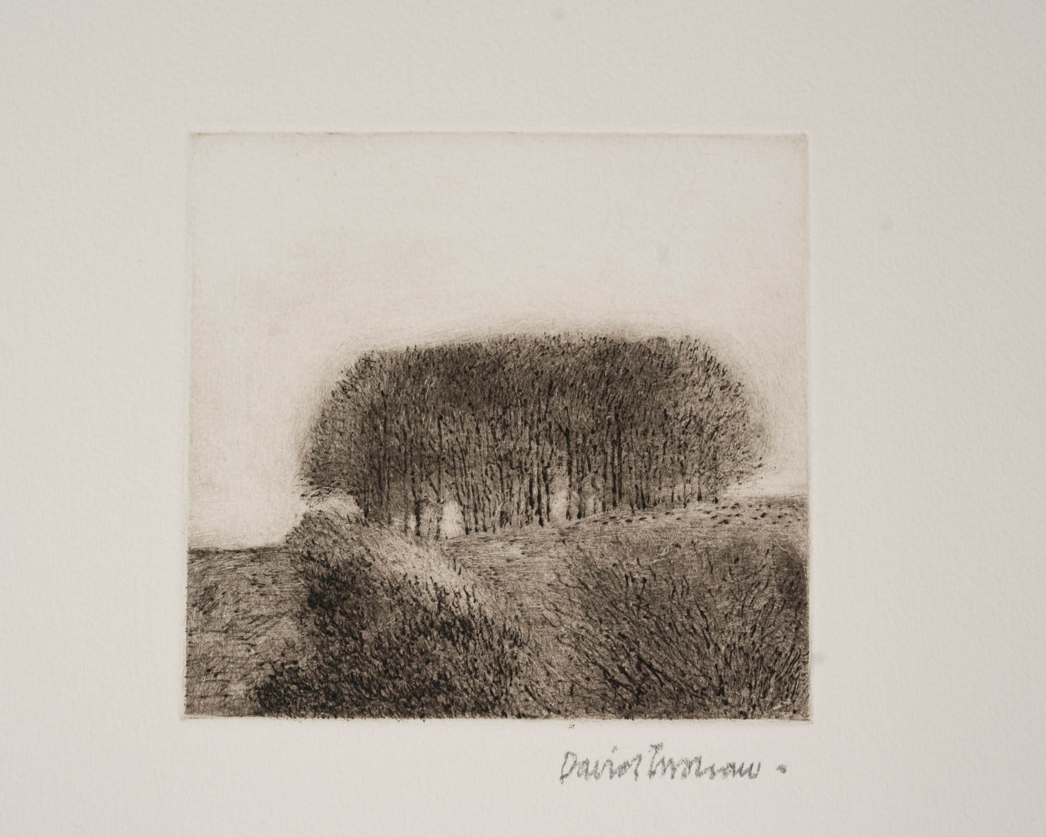 View/Clump - Image 7