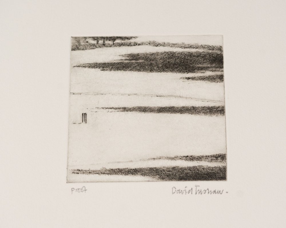 Shadows - Image 3