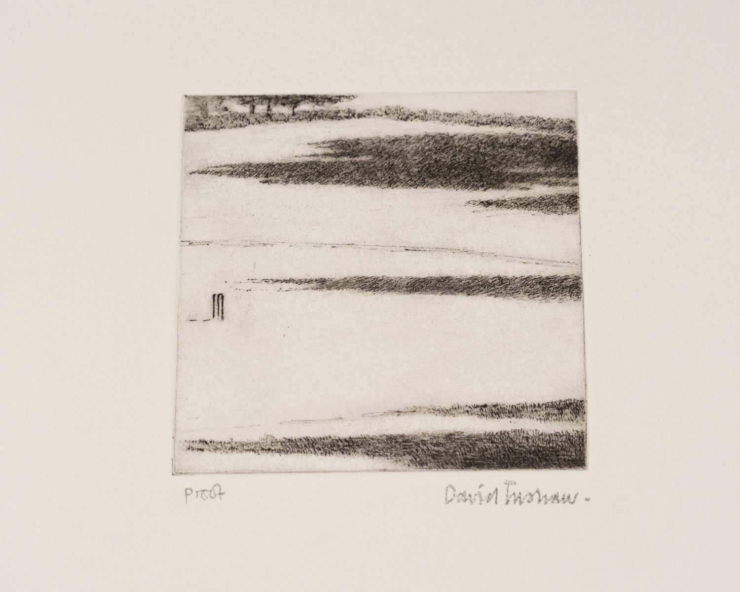Shadows - Image 3