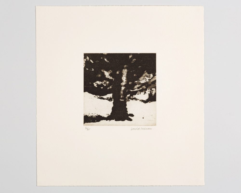 The Tree - Image 1