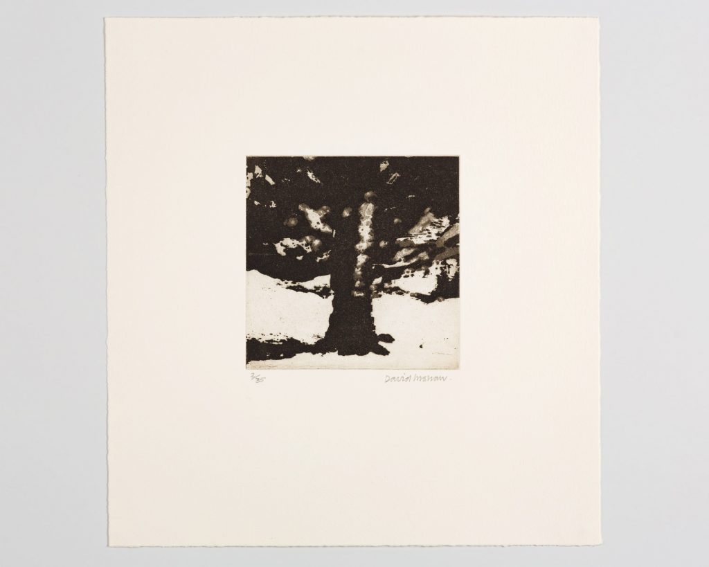 The Tree