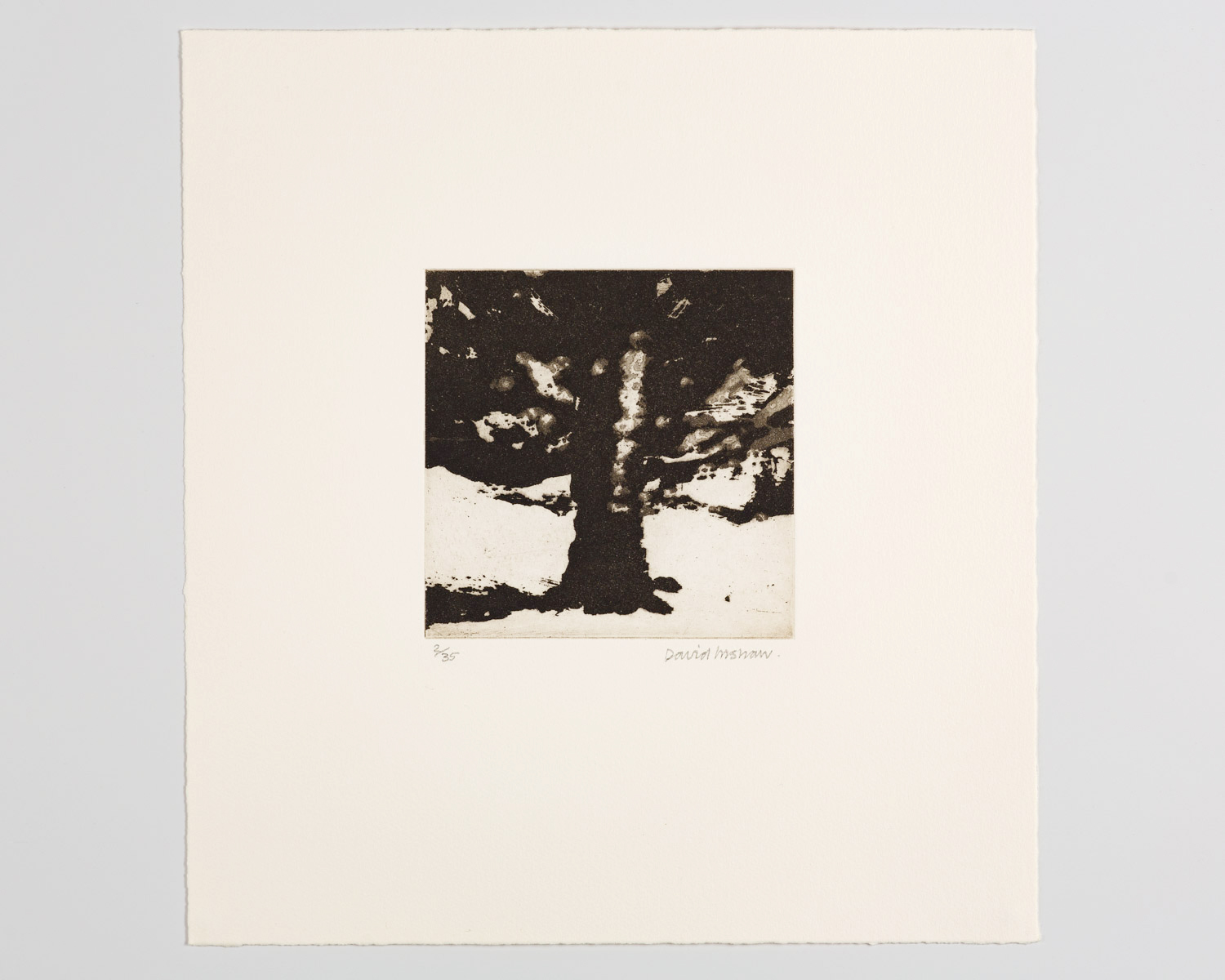 The Tree - Image 1