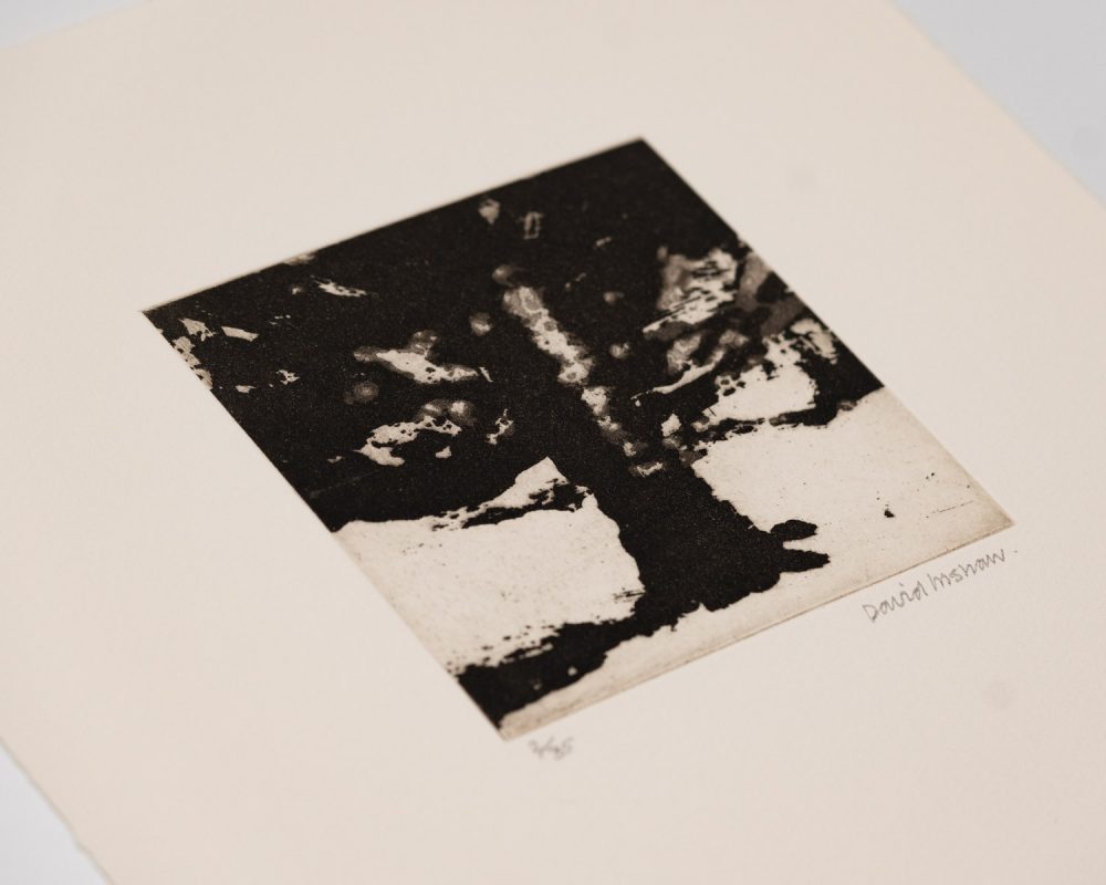 The Tree - Image 2