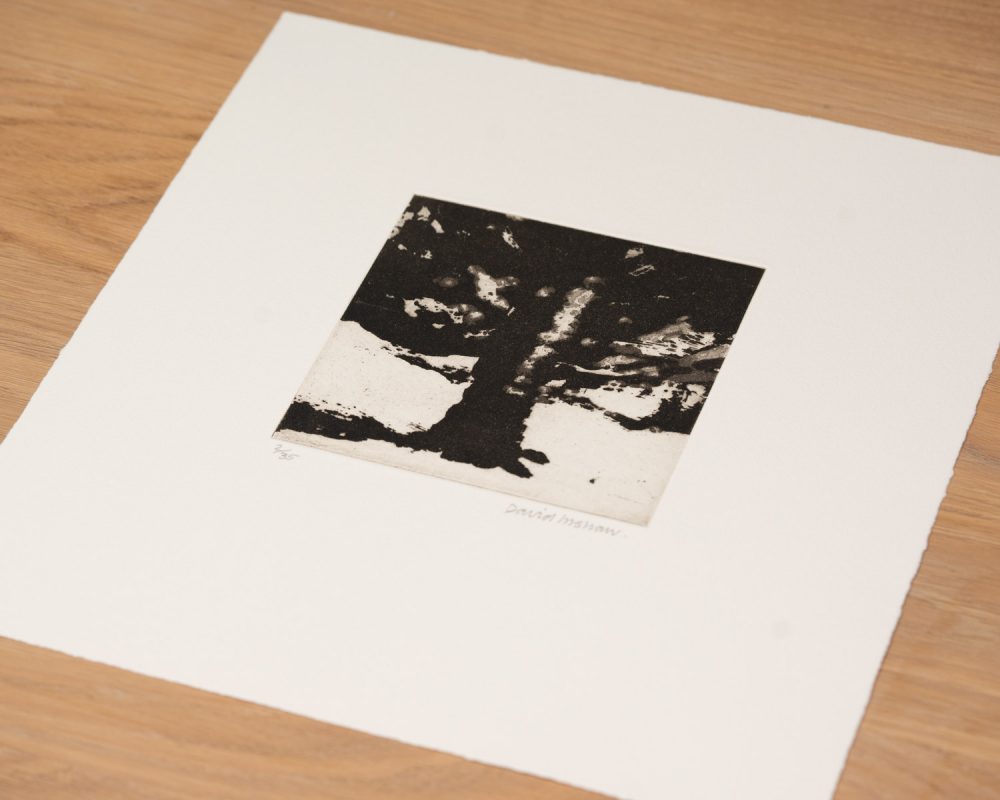 The Tree - Image 3