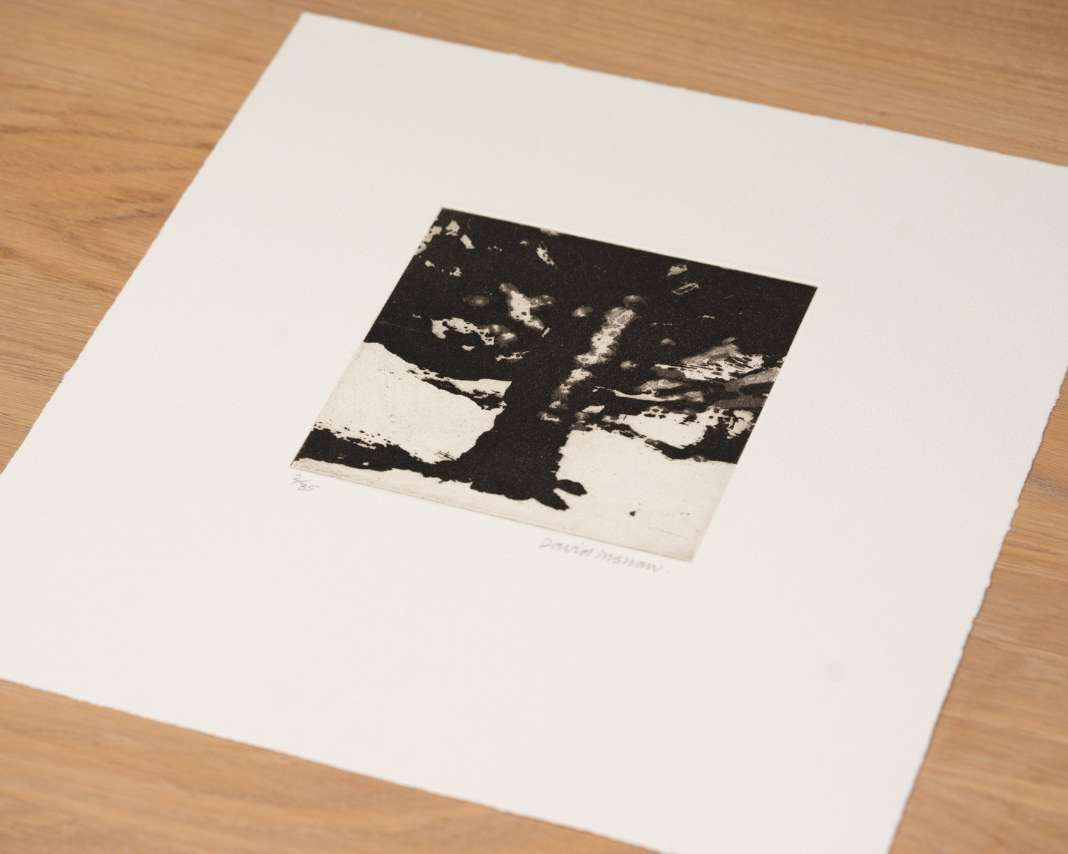 The Tree - Image 3