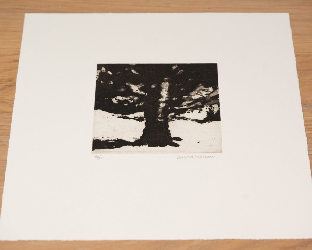 The Tree