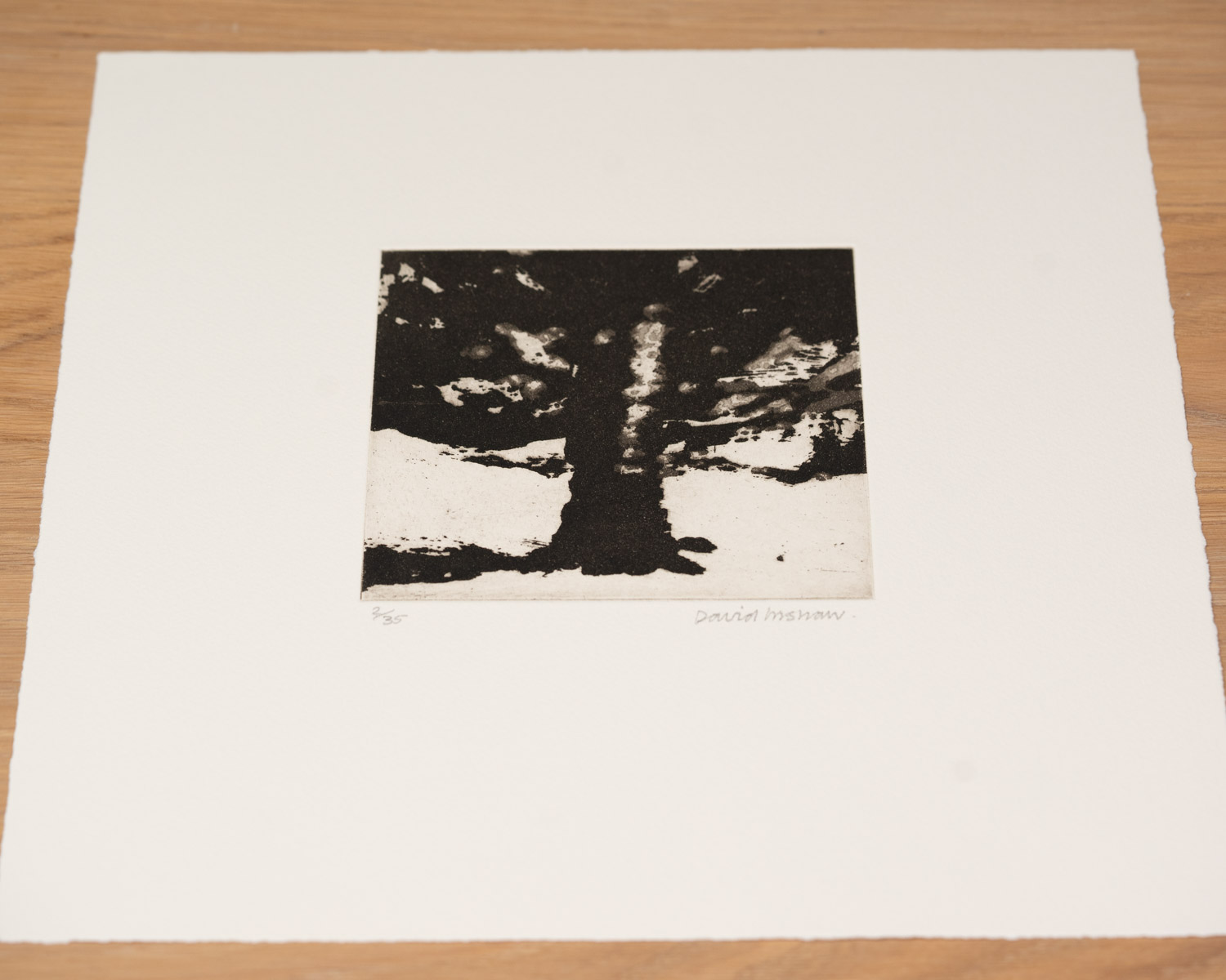 The Tree - Image 4