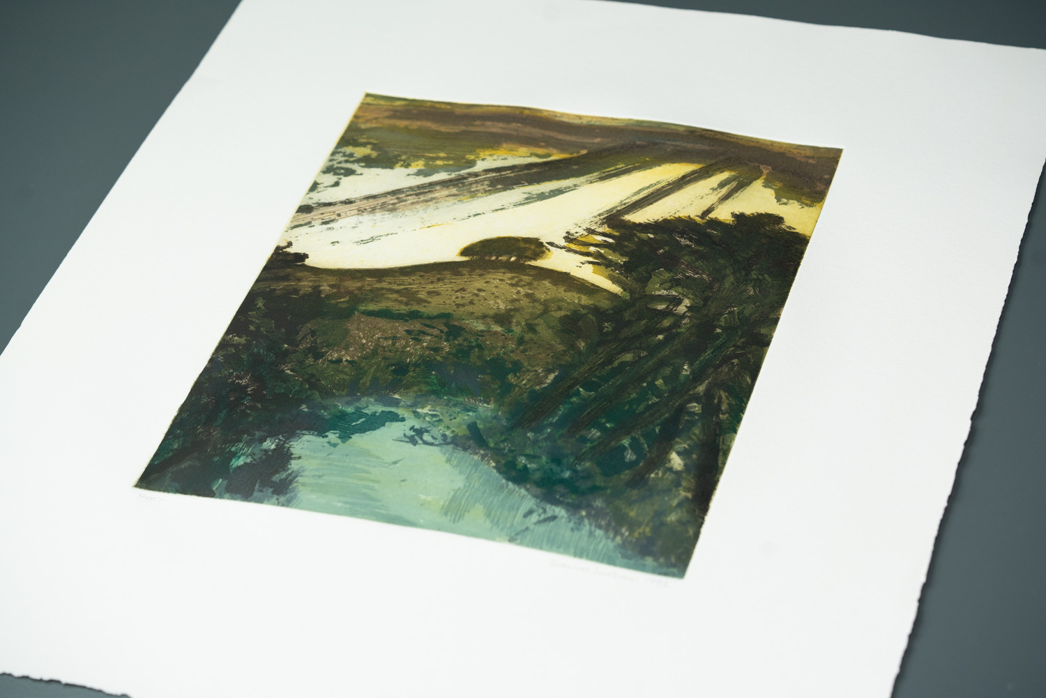 Canal Wiltshire Landscape 02 - Image 2