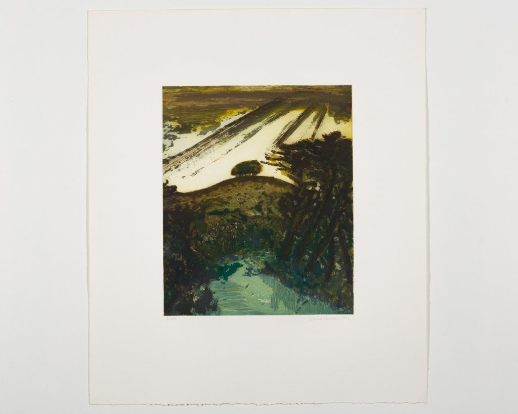 Canal Wiltshire Landscape 03