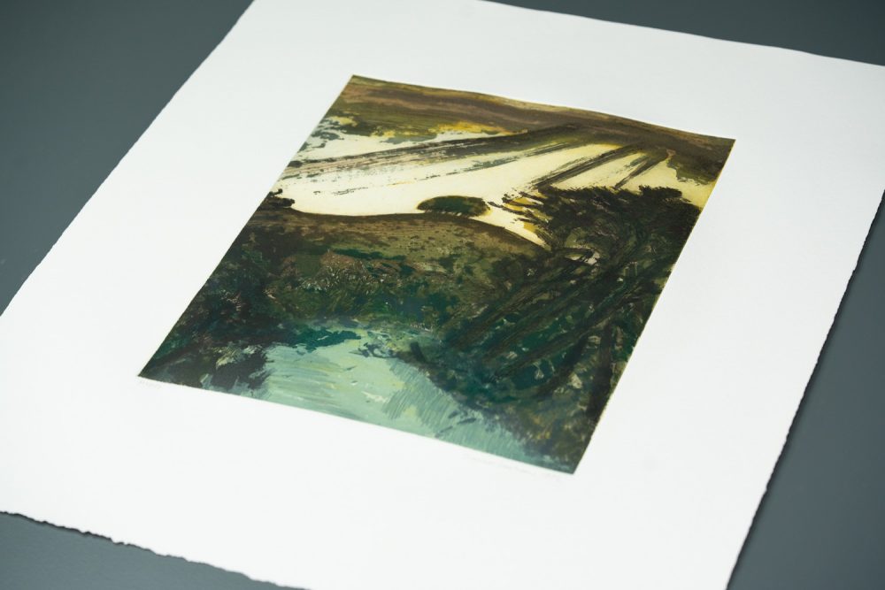 Canal Wiltshire Landscape 03 - Image 2