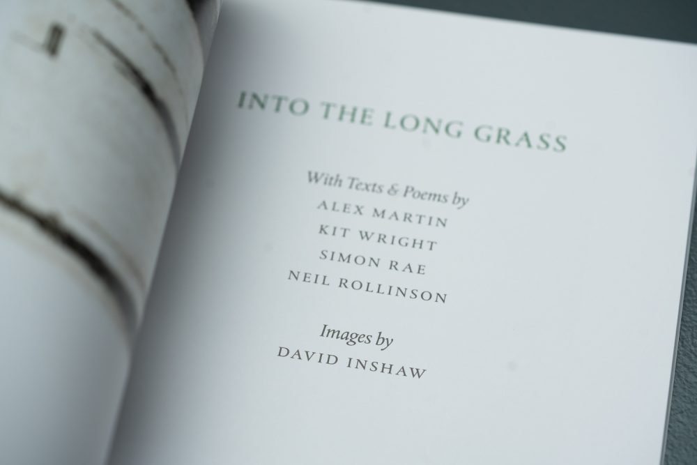Into The Long Grass