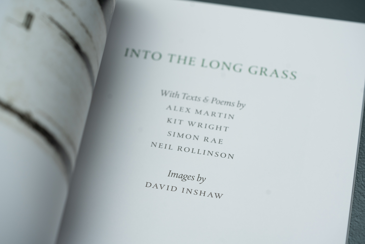 Into The Long Grass - Image 3