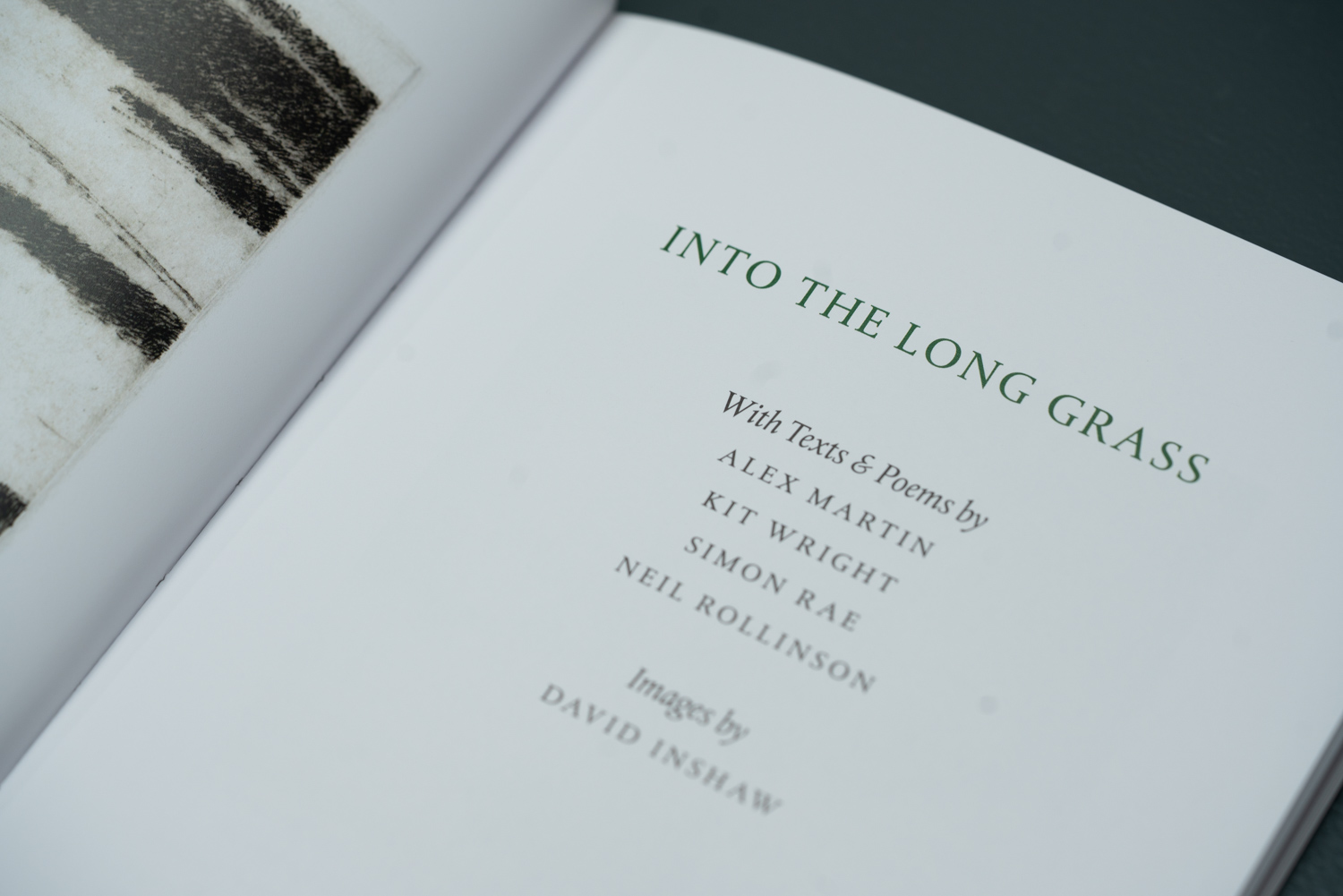 Into The Long Grass - Image 4