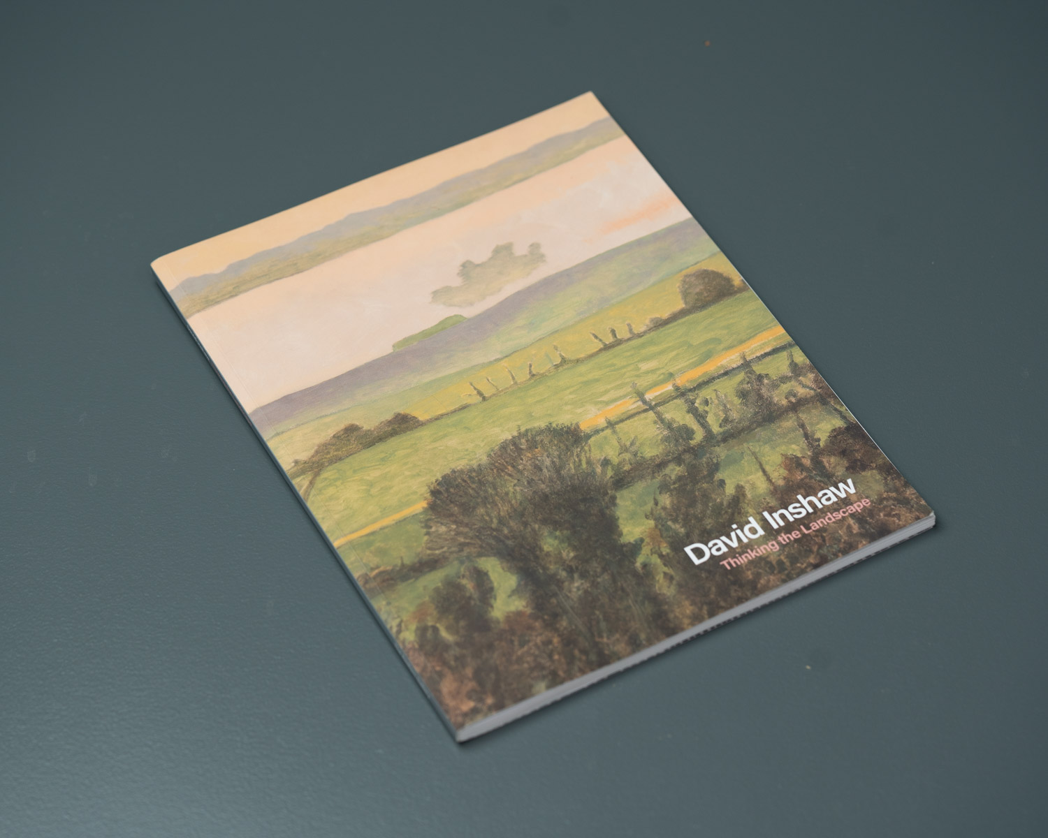 Thinking The Landscape - Image 2